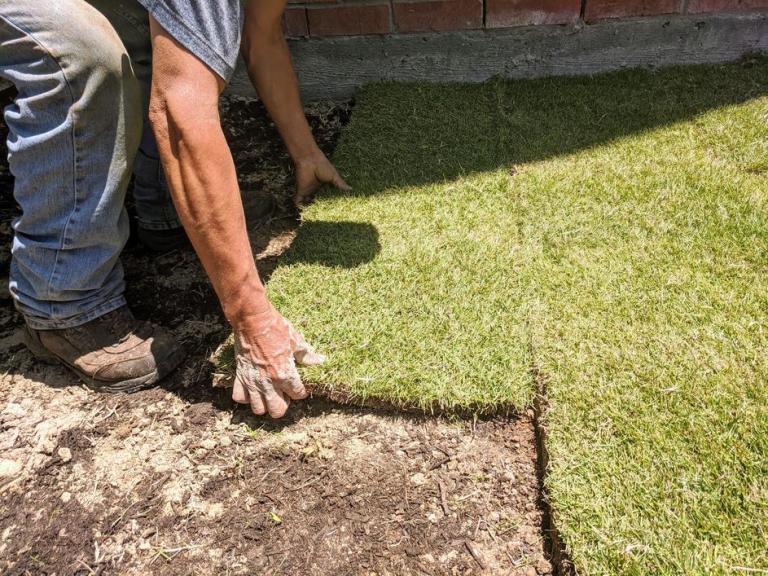 Engazonnement de pelouse à Bondy, techniques et conseils