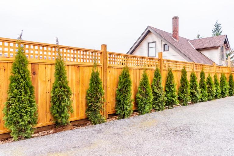 Quelle clôture de jardin choisir pour votre extérieur à Bondy ?