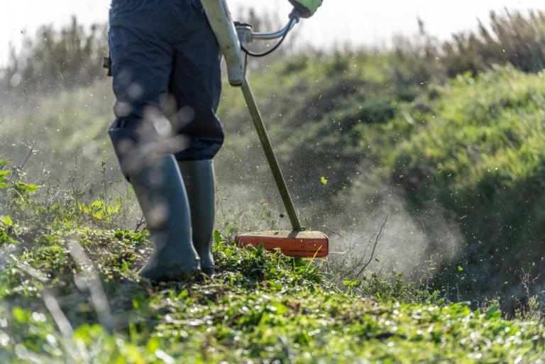 Nos conseils pour un débroussaillage efficace à Bondy